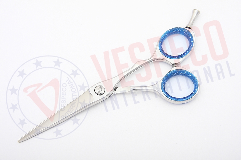 Professional Hairdressing Scissors